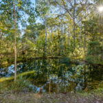 23 Wirreanda Place, LONG BEACH, NSW 2536