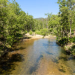 2488 Araluen Road, DEUA RIVER VALLEY, NSW 2537